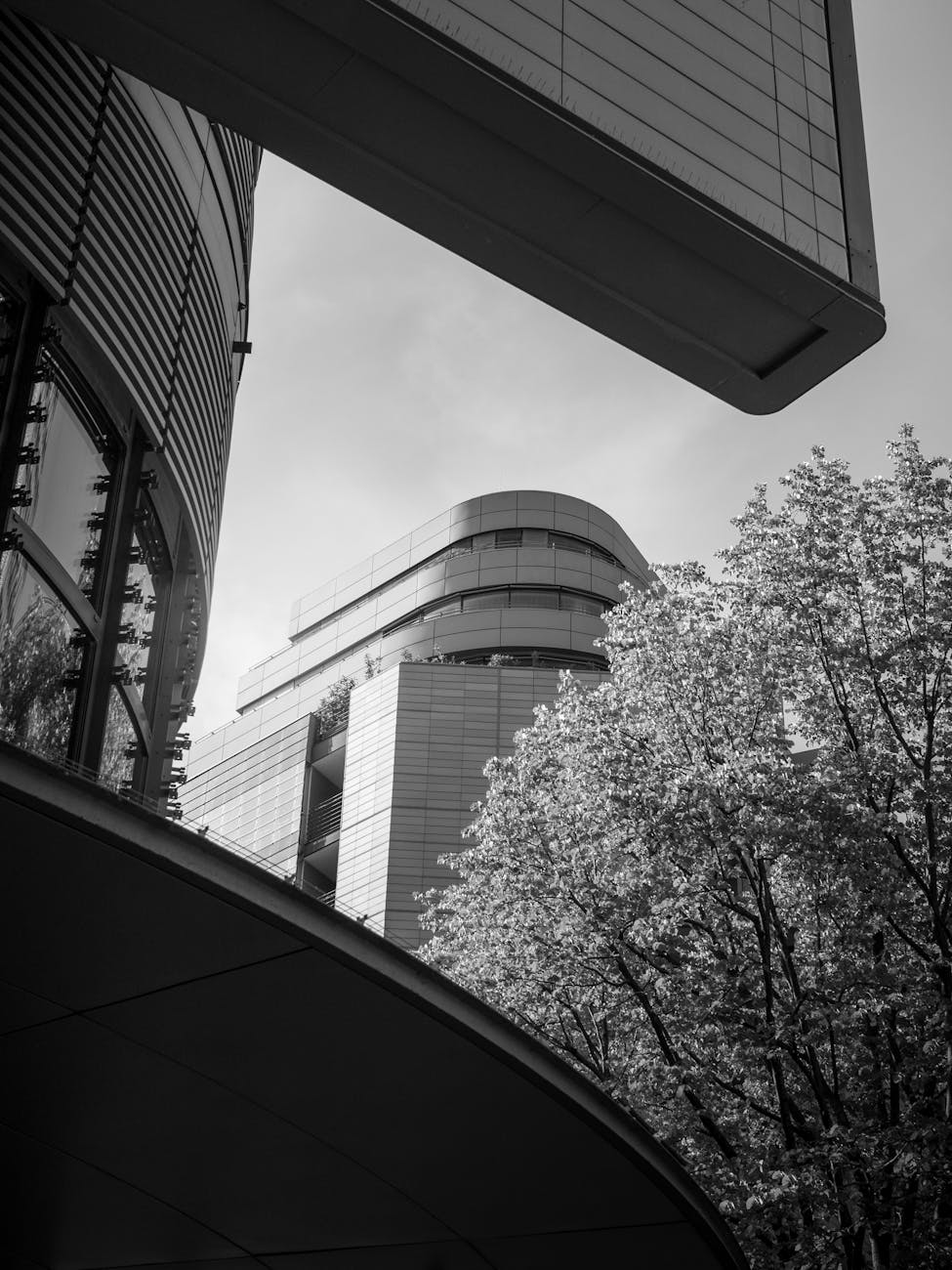 The Future of Financial Inclusion: Bridging the Gap with Neobanks